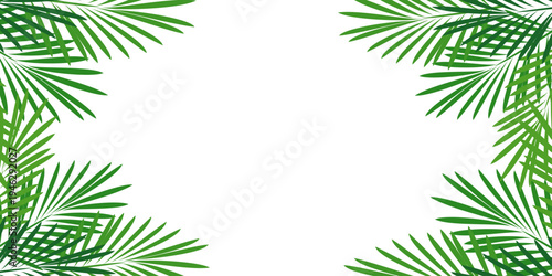 Leaves background with summer fun design concept, abstract illustration with exotic jungle leaves, colorful design, summer background, tropical leaves.Tropical leaf background, palm leaves.