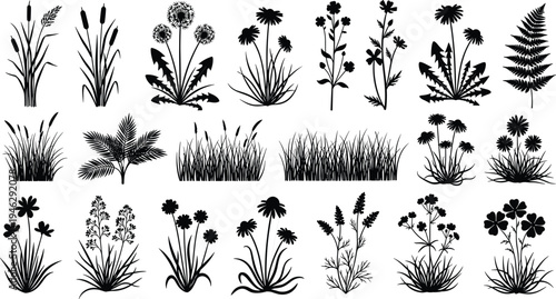 Cad drawing flat vector illustration of wild flower silhouettes, including grass, reeds, dandelions, ferns, and meadow plants for nature design.