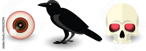 Crow with human eye and skull bad omen superstition vector illustration flat design