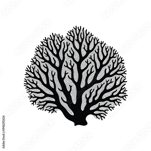 Intricate black and white coral silhouette with dotted texture