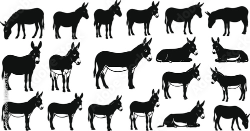 Donkey Silhouette Vector Set Featuring Various Poses of Farm Asses Mules and Burros for Rural Agriculture and Livestock Design Projects