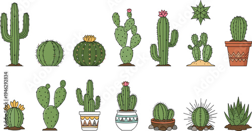 Cactus Plant Illustration Set Featuring Desert Cacti, Prickly Pear, Barrel Cactus, and Potted Succulents for Botanical, Nature, and Garden Design.