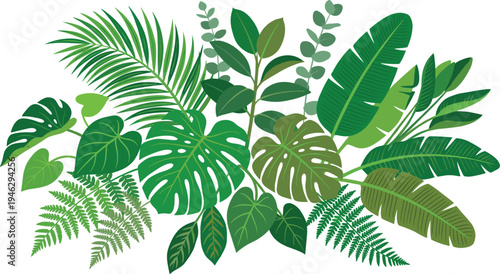 Vibrant assortment of lush green tropical leaves creating an exotic natural border, perfect for botanical themes and jungle-inspired designs showcasing diverse foliage