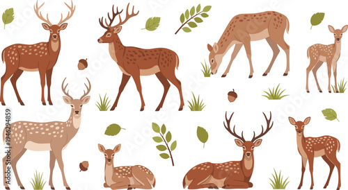 Deer Character Illustration Set Featuring Stag, Doe, and Fawn Standing, Grazing, and Resting with Forest Leaves for Woodland Wildlife Design.