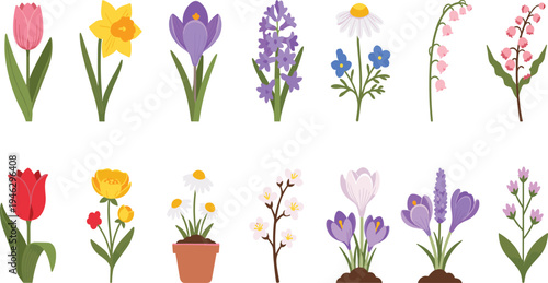 Spring Flower Illustration Set Featuring Tulip, Daffodil, Crocus, Hyacinth, Daisy, Lily of the Valley, and Blooming Garden Floral Plants.