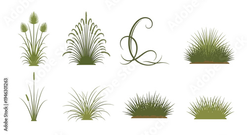 Set of green grass silhouettes and botanical plant icons isolated on white background for landscape design, garden architecture, nature illustrations, and art.