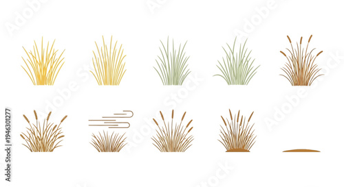 Minimalist Set of Grass and Reed Vector Icons Isolated on White Background for Nature Landscape Design, Botanical Illustration, and Autumn Seasonal Art Projects