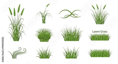 Vector Illustration Set of Green Lawn Grass Tufts, Meadow Plants, and Foliage Elements Isolated on White Background for Landscape Design and Nature Graphics.