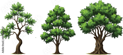 Set of three green deciduous tree vector illustrations with realistic bark textures and lush foliage isolated on white background for landscape design and nature