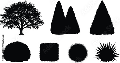 Set of Tree and Bush Silhouettes Featuring Deciduous Trees Coniferous Evergreens and Manicured Garden Shrubs for Landscape Design Architectural Visualization and Outdoor Nature Vector Graphics