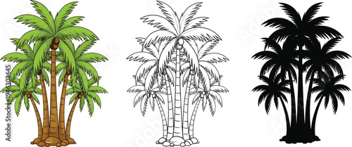 Tropical palm tree cluster set featuring flat color line art and black silhouette versions isolated on white background for summer beach vacation designs.