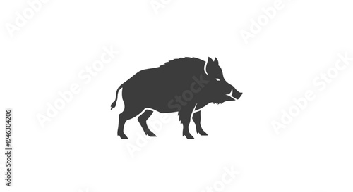 Wild Boar Silhouette Walking to Right.