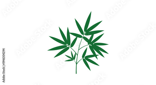 Cannabis Leaves on White Background.