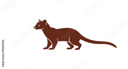 Brown Weasel or Ferret Illustration.