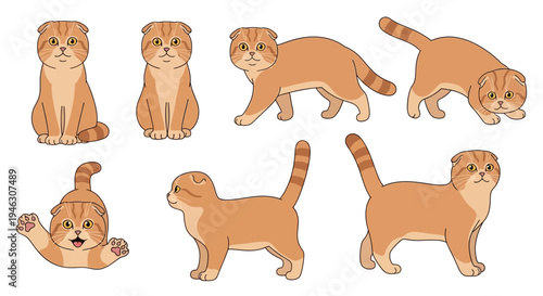 Cute Ginger Scottish Fold Cat Illustration Set with Various Poses Including Sitting Walking and Pouncing Isolated on White Background for Pet Design Projects.
