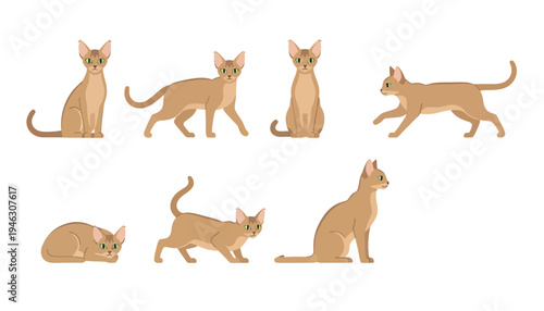 Set of Abyssinian Cat Vector Illustrations in Seven Diverse Poses Including Sitting Standing Walking Running and Stalking for Professional Pet Graphic Designs