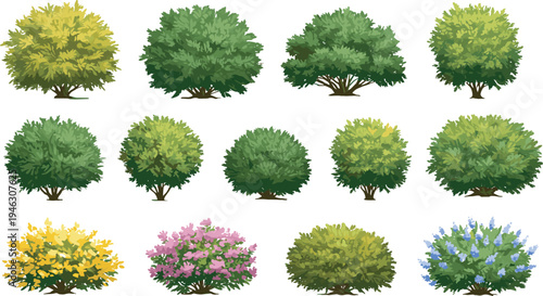 Bush and shrub illustration set, cartoon garden plants, colorful foliage icons, landscaping clipart pack, nature design elements, vector hedge graphics, outdoor assets