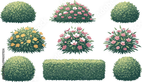 Bush and shrub illustration set, cartoon garden plants, floral foliage variety, landscaping clipart, outdoor nature icons, vector hedge pack, editable graphics