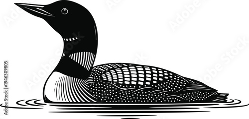 Detailed black and white woodcut style illustration shows a common loon bird swimming calmly on water ripples.