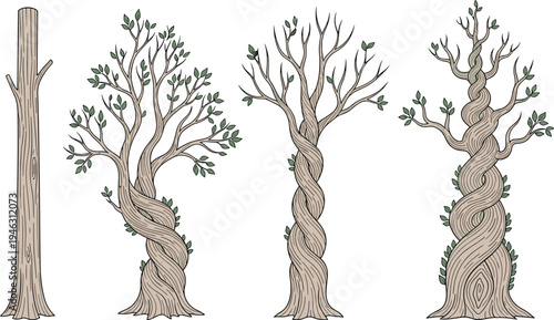 Vector illustration collection featuring deciduous trees with twisted trunks and winding bark textures with green leaves in hand drawn style isolated on white background