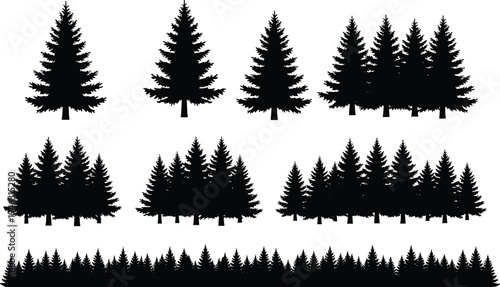 Evergreen pine and spruce tree silhouettes collection with forest borders and conifer groups isolated for woodland landscape design