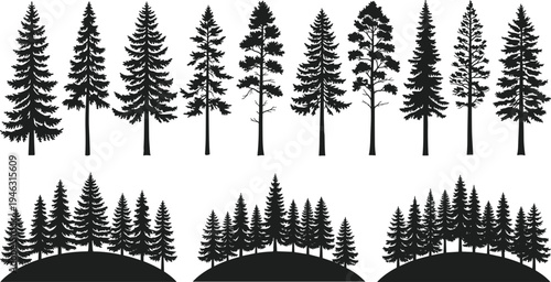 Pine Tree Forest Silhouette Collection with Evergreen Conifer Trees and Woodland Landscape Hills Isolated on White Background