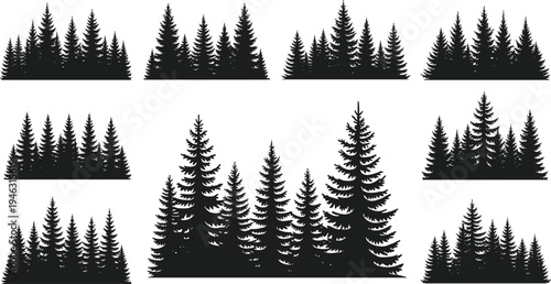 Pine Tree Forest Silhouette Collection with Evergreen Conifer Trees Isolated on White Background for Nature Landscape and Woodland Design