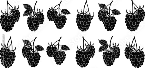 Blackberry fruit icons set, fresh berry collection illustration, organic garden fruit symbol, vector silhouette isolated design