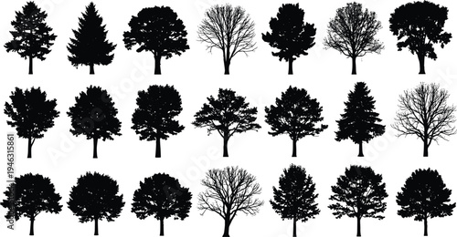 Collection of diverse deciduous and evergreen tree silhouettes isolated, botanical forest elements set for landscape design, nature illustration and vector graphics