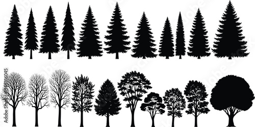 Collection of pine evergreen and deciduous tree silhouettes isolated on white background, forest tree set for landscape design