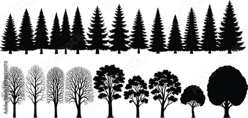 Collection of pine evergreen and deciduous tree silhouettes isolated on white background, forest tree set for landscape illustration