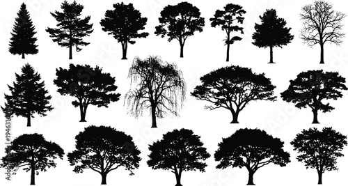 Collection of various tree silhouettes including pine oak willow and deciduous trees isolated on white background botanical nature illustration