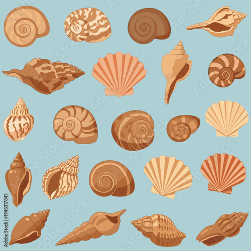 A vibrant collection of seashells displayed against a light blue background