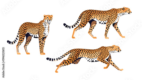 Three illustrations of a cheetah showing different states of motion including standing still, walking gracefully, and running at high speed.