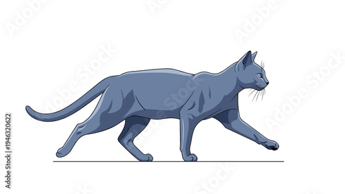 Profile view of a sleek grey cat walking gracefully across a white surface with its tail extended and a focused expression on its face.