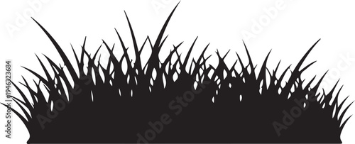 Silhouette of tall grass blades on transparent background for design