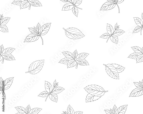Mint leaves seamless pattern. Herbal mint foliage background. Fresh mint botanical repeat pattern. Aromatic herb leaves texture. Green culinary ingredient pattern. Natural herbal foliage wallpaper.
