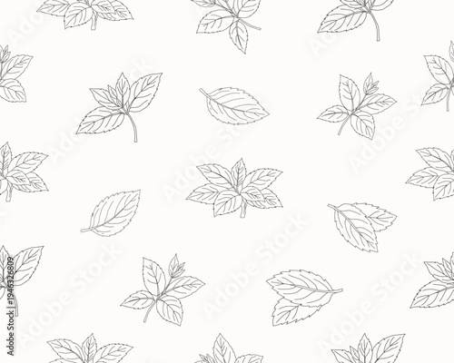 Mint leaves seamless pattern. Herbal mint foliage background. Fresh mint botanical repeat pattern. Aromatic herb leaves texture. Green culinary ingredient pattern. Natural herbal foliage wallpaper.
