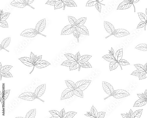 Mint leaves seamless pattern. Herbal mint foliage background. Fresh mint botanical repeat pattern. Aromatic herb leaves texture. Green culinary ingredient pattern. Natural herbal foliage wallpaper.