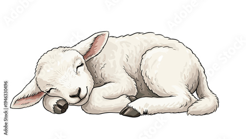 Small white lamb sleeping peacefully on its side with eyes closed, isolated against a clean plain white background.