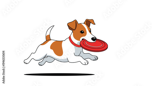 Energetic Jack Russell Terrier dog running and jumping while carrying a red frisbee in its mouth on white background.