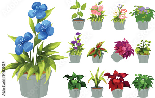 Collection of colorful potted houseplants and flowers illustration featuring decorative indoor plants, blooming flowers and green foliage in pots isolated 