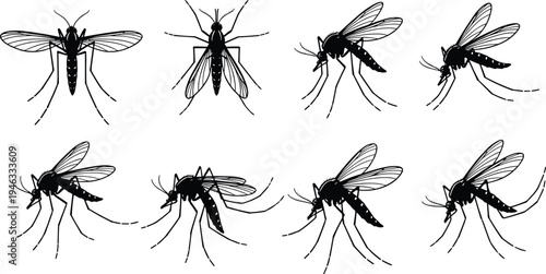 Collection of eight mosquito silhouette illustrations in various poses and orientations, symbolizing insect anatomy, entomology study, vector control, nature, and scientific artwork design