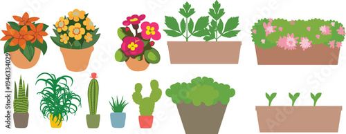 Collection of flowering houseplants, cactus and seedlings in decorative pots and planters, flat vector illustration set for home gardening, botanical decor and indoor plants