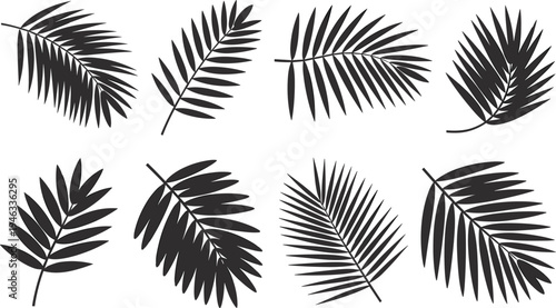 Tropical palm leaf silhouette vector icon set, black jungle foliage branches isolated on white for summer design