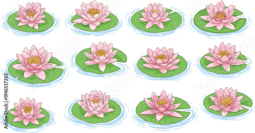 Collection of pink water lily flower vector illustrations with green lotus leaves and water ripples for wellness spa and oriental garden nature design