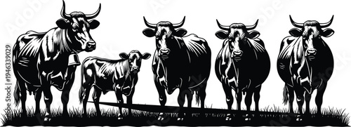 Pastoral Cow Silhouette Vector Art – Farm Livestock Illustration with Calf and Bell Detail, Perfect for Agriculture Logos, Dairy Branding, and Rural Decor