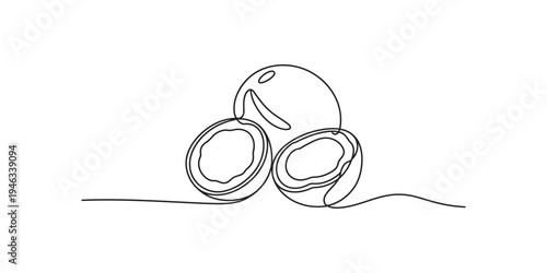 Continuous line drawing of three macadamia nuts on a plain background single