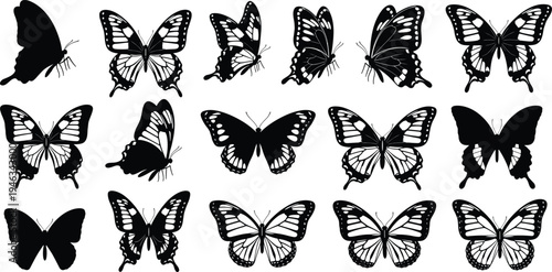 Vector illustration set of cute cartoon sport ball characters including tennis football soccer and basketball wearing caps and making peace signs with hands.