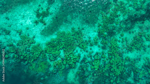 Fotografie Top view of natural coral formations in shallow sea water with rippling sun reflections, perfect for summer vacation, snorkeling, and environmental conservation themes